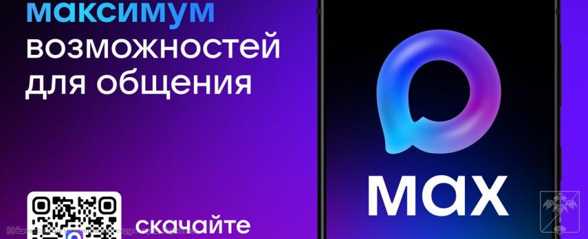 Внедрение Цифрового ID MAX Внедрение Цифрового ID MAX