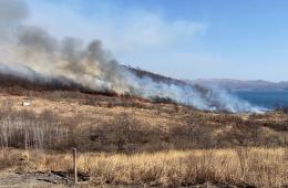 26.03.2025 В Хасанском муниципальном округе закрыта охота | Администрация муниципального округа город Партизанск Приморского края Официальный сайт