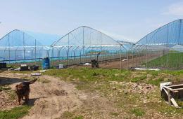 14.05.2025 Многодетный отец наладил тепличный бизнес с помощью господдержки в Приморье. ИСТОРИЯ УСПЕХА  | Администрация муниципального округа город Партизанск Приморского края Официальный сайт