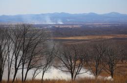 20.02.2025 Глав муниципалитетов Приморья призвали очистить территории от сухой растительности | Администрация муниципального округа город Партизанск Приморского края Официальный сайт