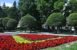 25.02.2025 Муниципалитеты Приморья определяют парки и скверы для благоустройства-2026 | Администрация муниципального округа город Партизанск Приморского края Официальный сайт