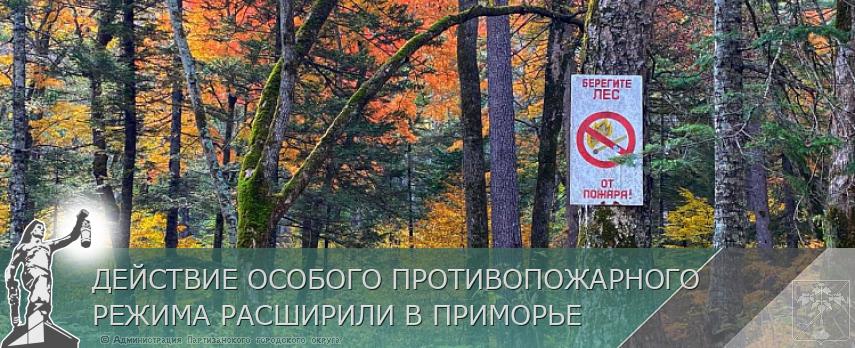 ДЕЙСТВИЕ ОСОБОГО ПРОТИВОПОЖАРНОГО РЕЖИМА РАСШИРИЛИ В ПРИМОРЬЕ | Администрация муниципального округа город Партизанск Приморского края Официальный сайт