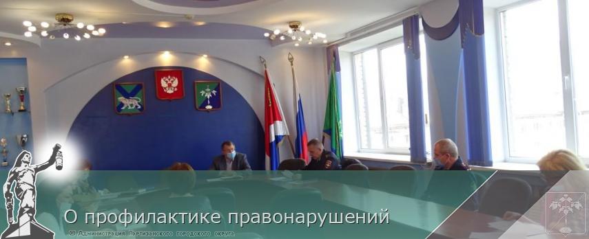 О профилактике правонарушений | Администрация муниципального округа город Партизанск Приморского края Официальный сайт