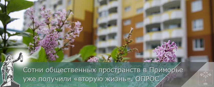 Сотни общественных пространств в Приморье уже получили «вторую жизнь». ОПРОС  | Администрация муниципального округа город Партизанск Приморского края Официальный сайт