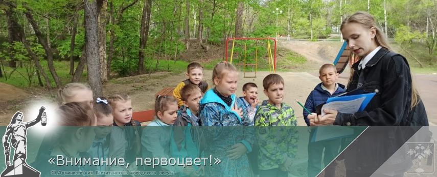 «Внимание, первоцвет!» | Администрация муниципального округа город Партизанск Приморского края Официальный сайт «Внимание, первоцвет!» | Администрация муниципального округа город Партизанск Приморского края Официальный сайт