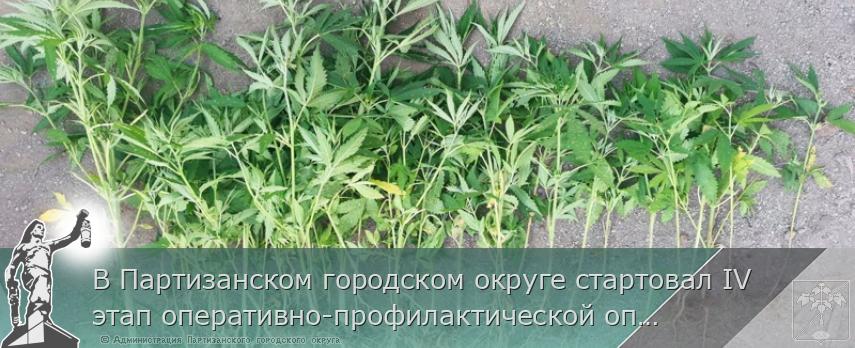 В Партизанском городском округе стартовал IV этап оперативно-профилактической операции «Мак-2021» | Администрация муниципального округа город Партизанск Приморского края Официальный сайт В Партизанском городском округе стартовал IV этап оперативно-профилактической операции «Мак-2021» | Администрация муниципального округа город Партизанск Приморского края Официальный сайт