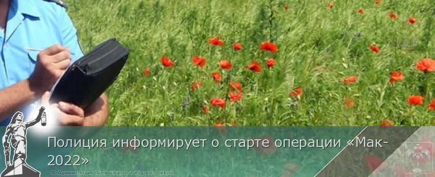 Полиция информирует о старте операции «Мак-2022» | Администрация муниципального округа город Партизанск Приморского края Официальный сайт Полиция информирует о старте операции «Мак-2022» | Администрация муниципального округа город Партизанск Приморского края Официальный сайт