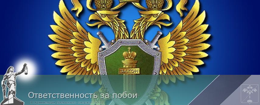 Ответственность за побои | Администрация муниципального округа город Партизанск Приморского края Официальный сайт Ответственность за побои | Администрация муниципального округа город Партизанск Приморского края Официальный сайт