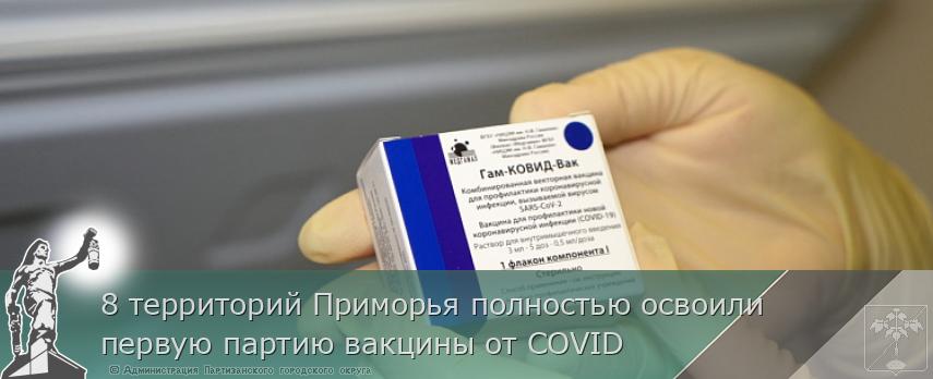 8 территорий Приморья полностью освоили первую партию вакцины от COVID | Администрация муниципального округа город Партизанск Приморского края Официальный сайт 8 территорий Приморья полностью освоили первую партию вакцины от COVID | Администрация муниципального округа город Партизанск Приморского края Официальный сайт