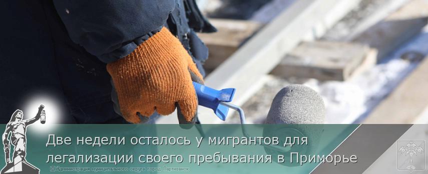 Две недели осталось у мигрантов для легализации своего пребывания в Приморье | Администрация муниципального округа город Партизанск Приморского края Официальный сайт