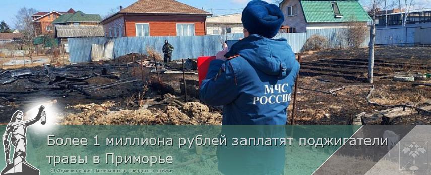 Более 1 миллиона рублей заплатят поджигатели травы в Приморье | Администрация муниципального округа город Партизанск Приморского края Официальный сайт