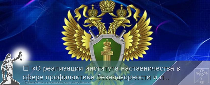 	 «О реализации института наставничества в сфере профилактики безнадзорности и правонарушений несовершеннолетних» | Администрация муниципального округа город Партизанск Приморского края Официальный сайт