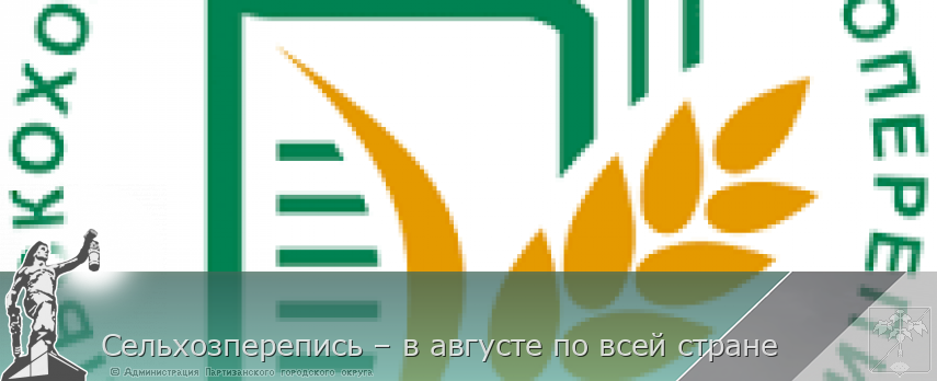 Сельхозперепись – в августе по всей стране | Администрация муниципального округа город Партизанск Приморского края Официальный сайт